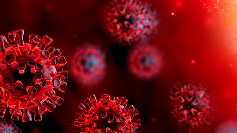 Ученые обнаружили новую особенность коронавируса