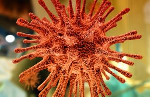 ВОЗ сообщила о продолжающейся мутации коронавируса