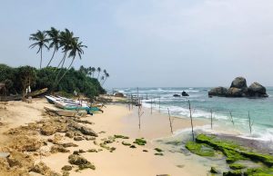 Прием туристов на Шри-Ланке начнется с февраля