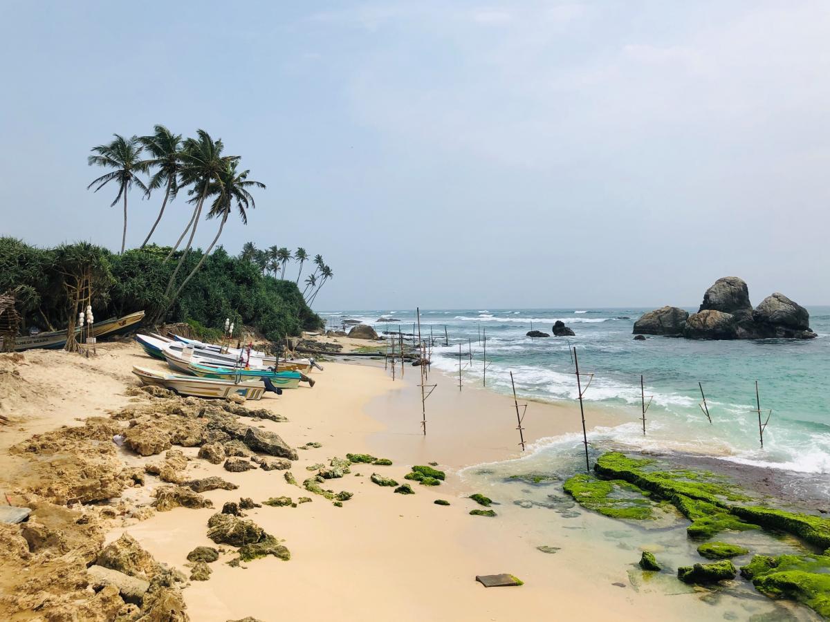 Прием туристов на Шри-Ланке начнется с февраля