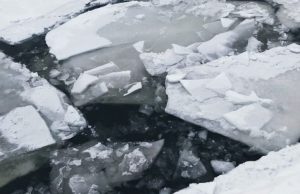 В Краснодаре прохожие спасли школьников, провалившихся под лед