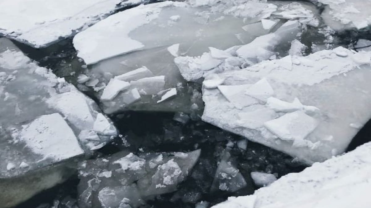 В Краснодаре прохожие спасли школьников, провалившихся под лед
