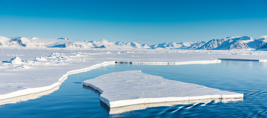 Ученые предупреждают об угрозе борщевика для Арктики