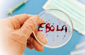 В Конго обнаружен пациент с лихорадкой Эбола