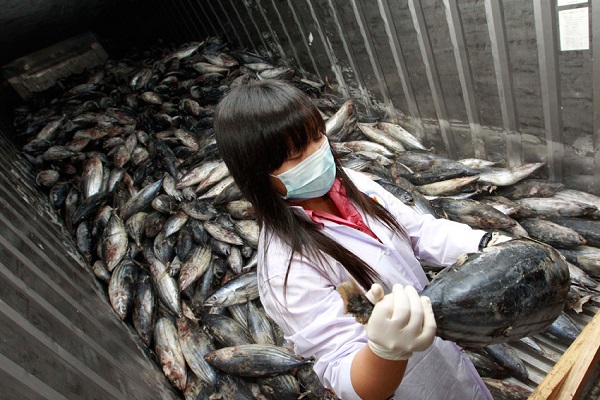 У Фукусимы выявили зараженную радиацией рыбу