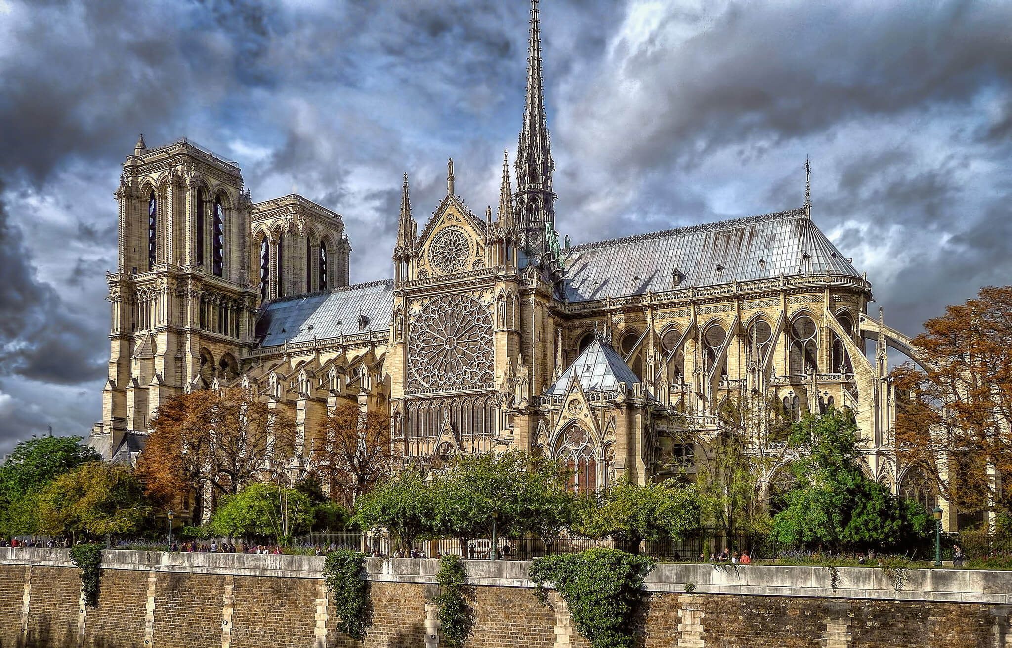 Во Франции начали валить дубы для сооружения шпиля собора Парижской Богоматери