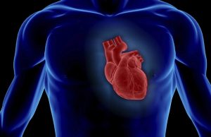 Коронавирус убивает клетки сердечной мышцы