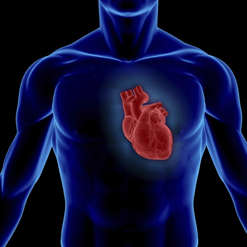 Коронавирус убивает клетки сердечной мышцы