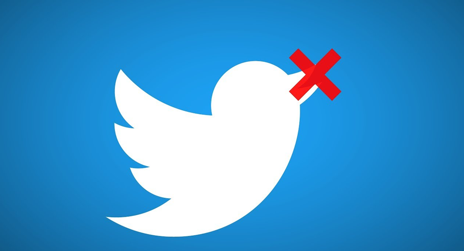 Мишулина заявляет о возможности полной блокировки социальной сети Twitter в России