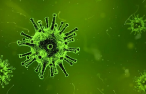 На северо-западе Франции выявили новый вариант коронавируса