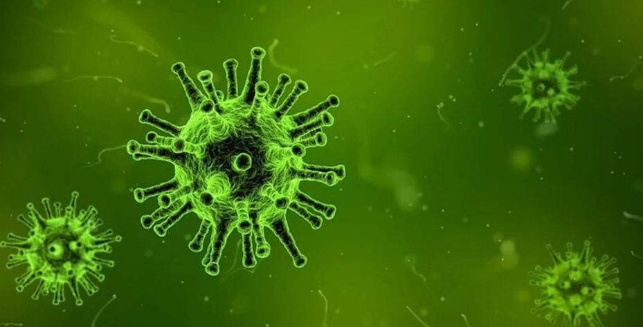 На северо-западе Франции выявили новый вариант коронавируса