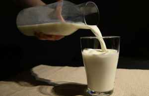 «Союзмолоко» ждет роста себестоимости молочной продукции