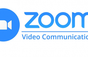 Совфед допускает блокировку приложения Zoom на территории России  в ответ на введенные ограничения