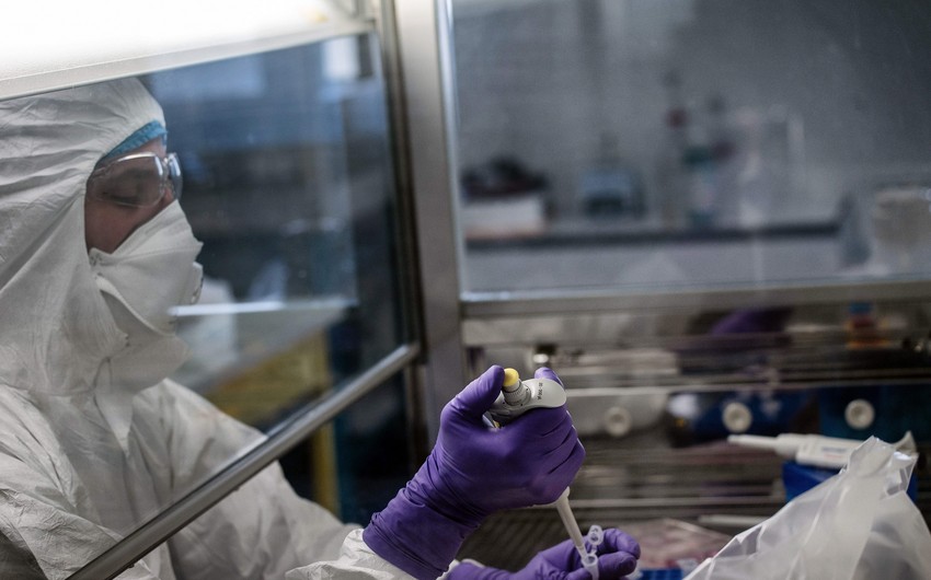 Ученые нашли доказательства лабораторного происхождения коронавируса