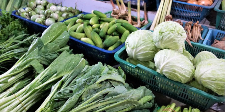 Магазины и торговые сети обяжут снизить цены на сезонные овощи