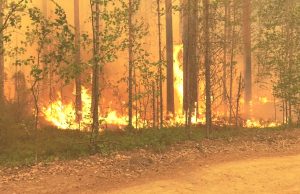 В части регионов России продолжается борьба с лесными пожарами