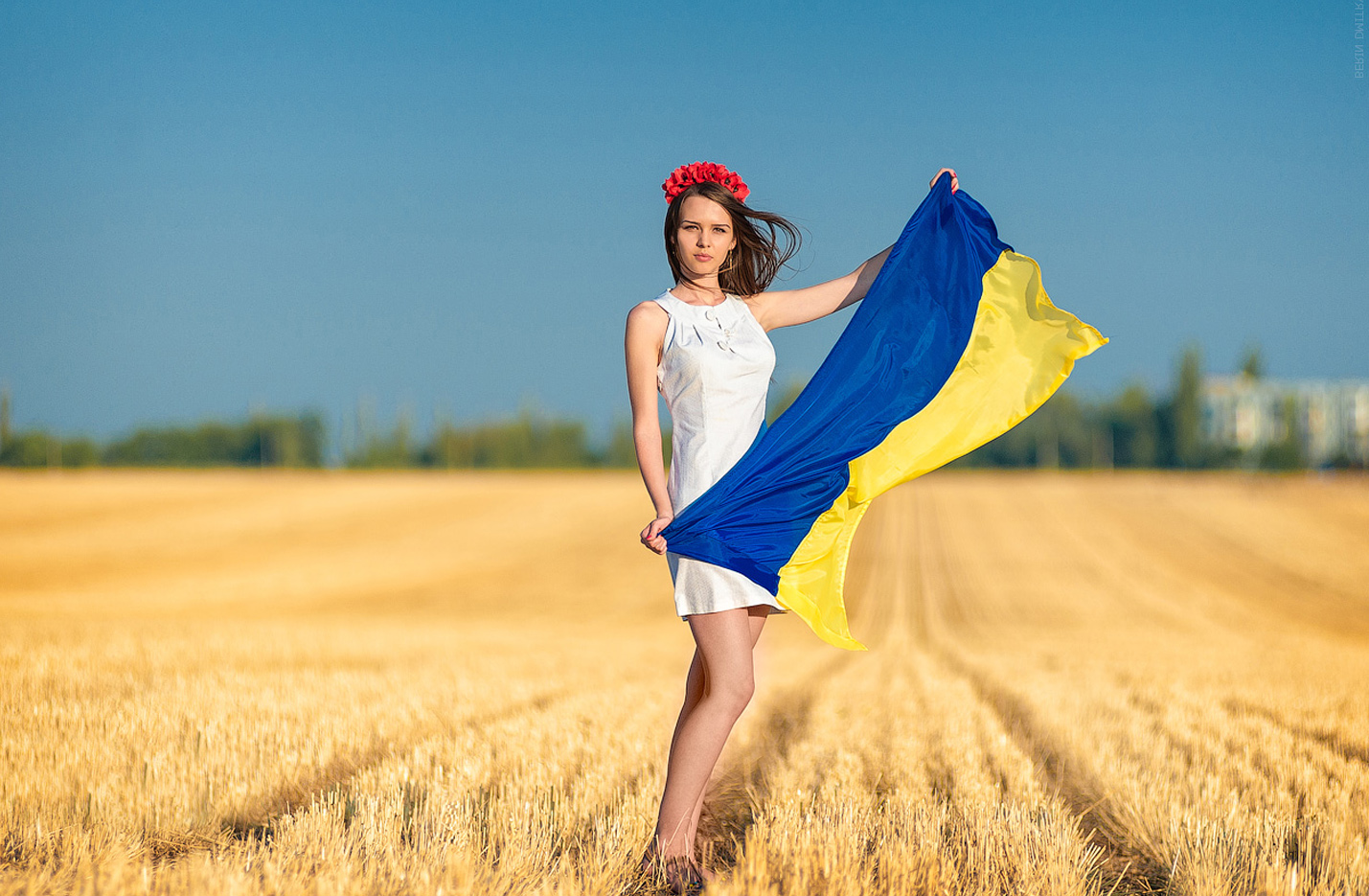 В Украине отменили мораторий на продажу земли
