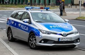 Польша командировала полицейских в Литву для борьбы с нелегальными мигрантами