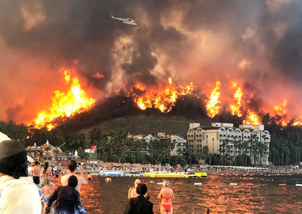 Террористическая организация заявила о причастности к лесным пожарам в Турции