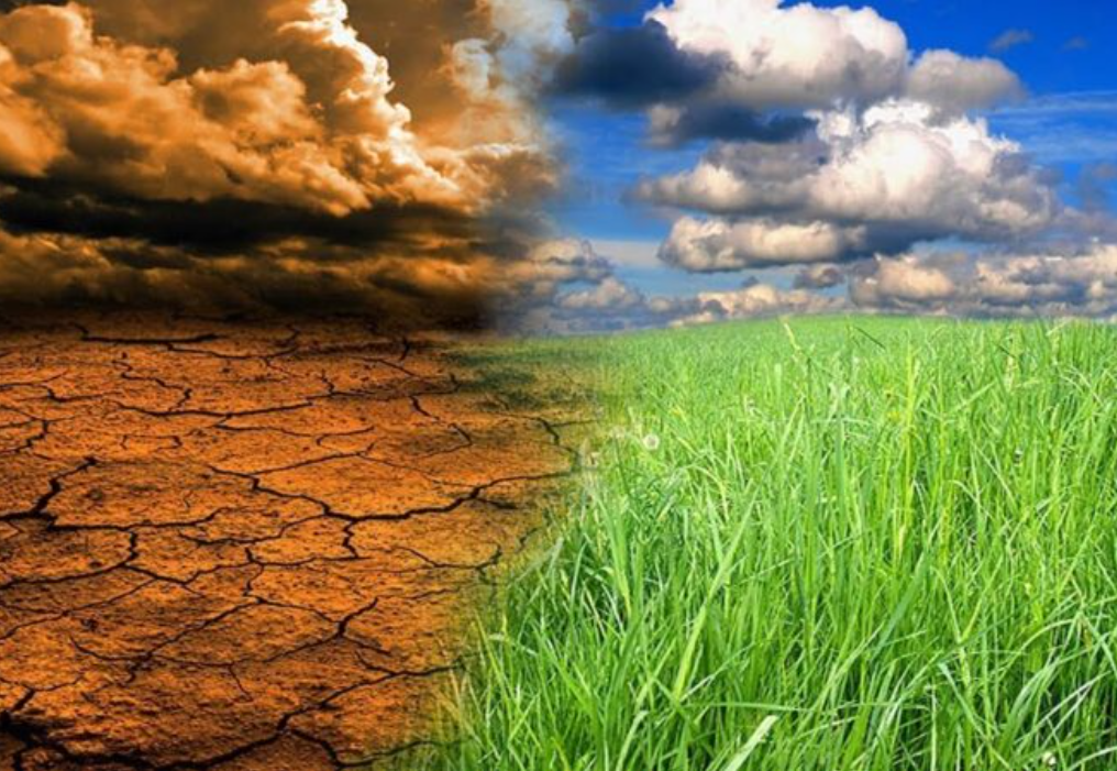 ООН: к 2040 году на планете станет больше экологических катастроф