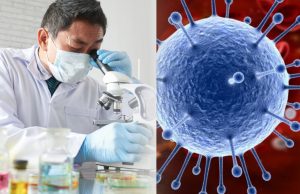 Ученые Великобритании прогнозируют появление абсолютно устойчивой к вакцинам мутации COVID-19