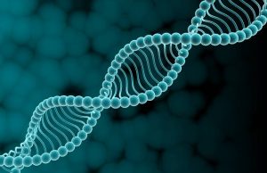 В большинстве случаев гены определяют уровень тяжести протекания и риск летальности от COVID-19 – биолог