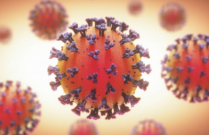 В ВОЗ заявили о рисках для переболевших коронавирусом заболеть новым штаммом «Омикрон»