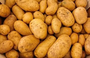 Аграрии предупреждают о росте цен на картофель