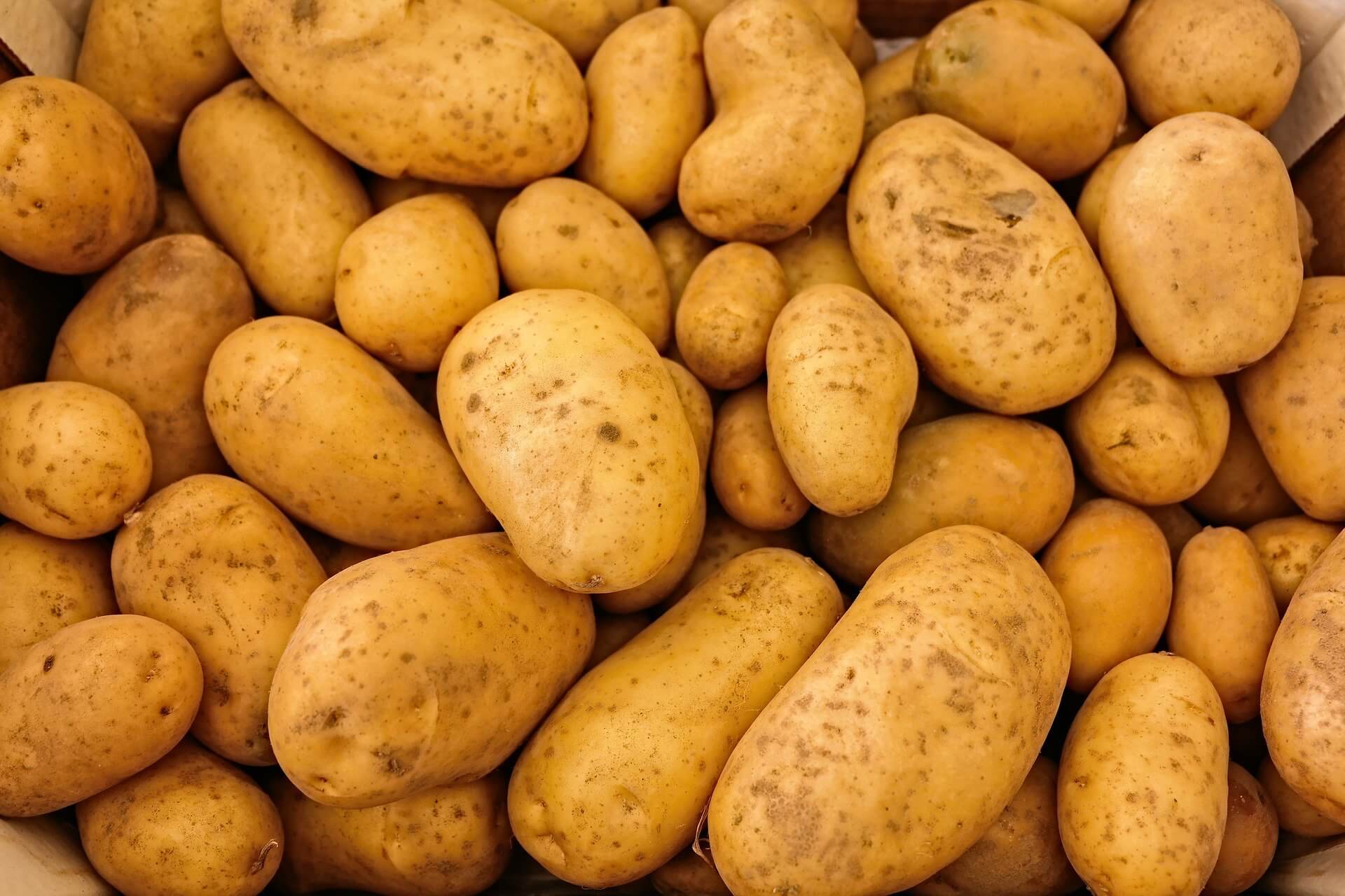 Аграрии предупреждают о росте цен на картофель