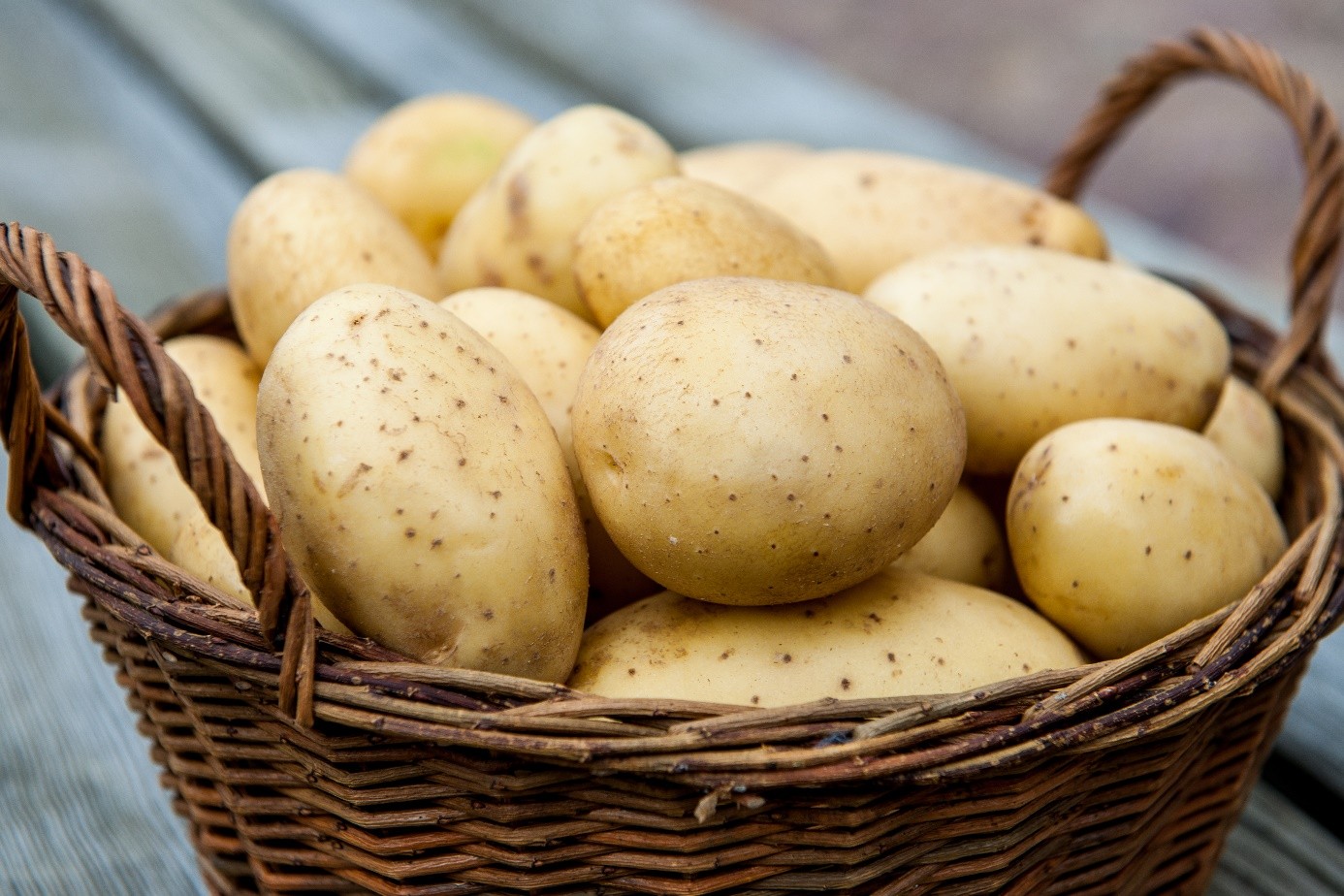 В Минсельхозе прогнозируют хороший урожай картофеля в 2022 году