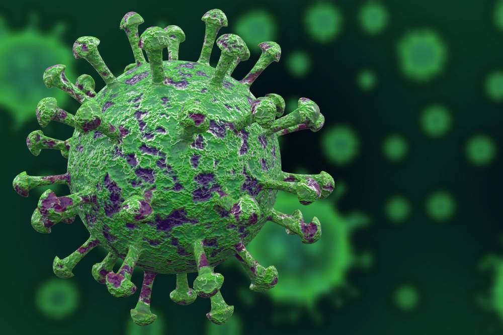 Клеточный иммунитет от простуды может защитить от COVID-19