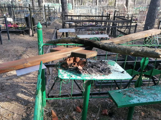 Подростки из благополучных семей разгромили кладбище в Шатуре