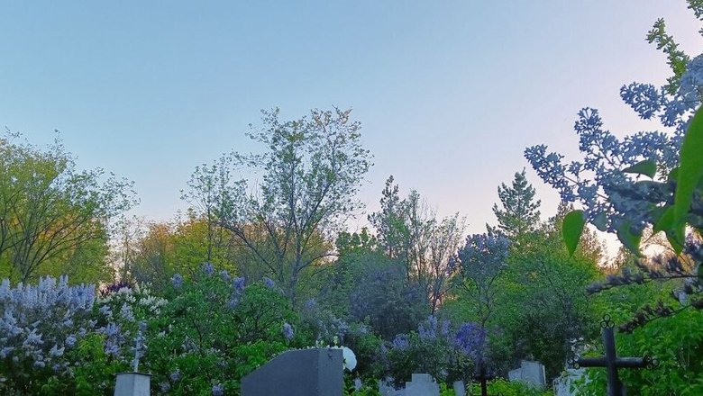 Как создать мемориальный уголок: советы по оформлению памятных мест