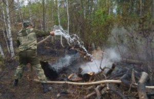 Оперативная ликвидация лесного пожара в Бурзянском районе Башкирии