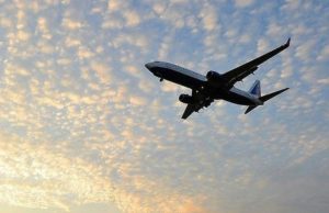 Лиса на взлетной полосе: самолет в Южно-Сахалинске прервал посадку